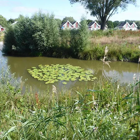 Casa de Férias Emily